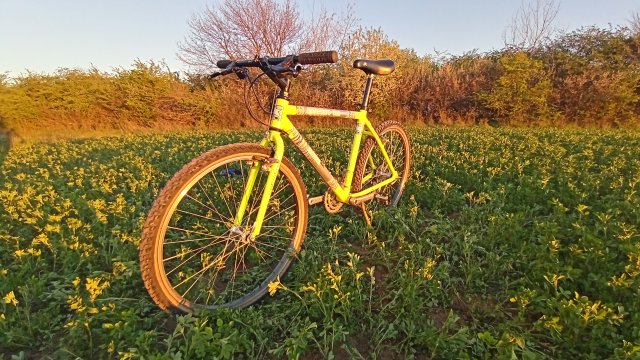 MTB '26 #714