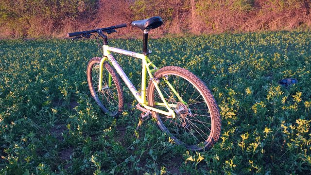 MTB '26 #717