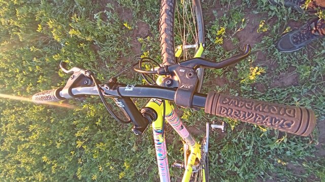 MTB '26 #726