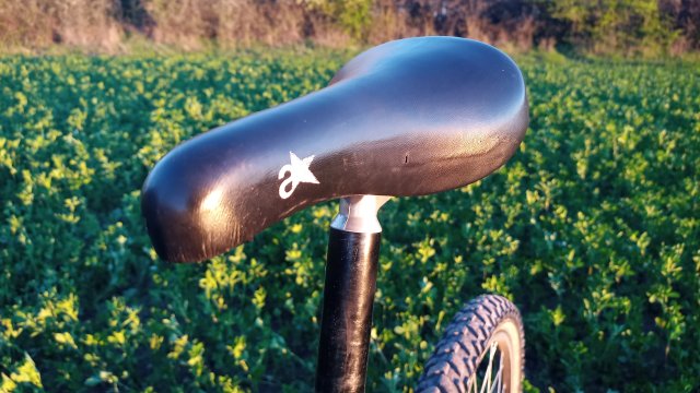 MTB '26 #734