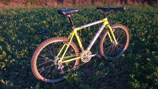 MTB '26 #736