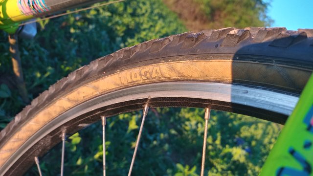 MTB '26 #742