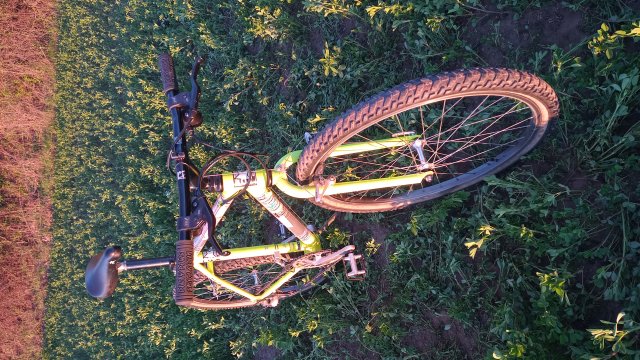 MTB '26 #744