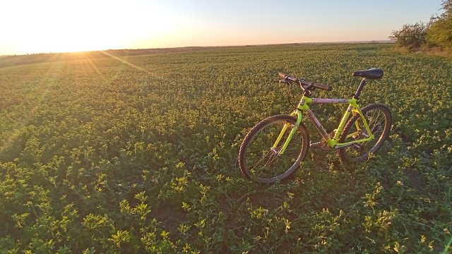 MTB '26 #745