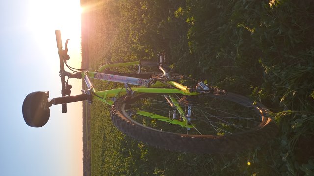 MTB '26 #751