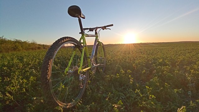 MTB '26 #752