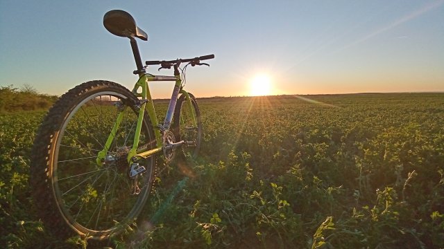 MTB '26 #753