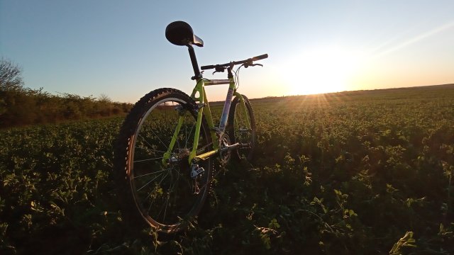 MTB '26 #755