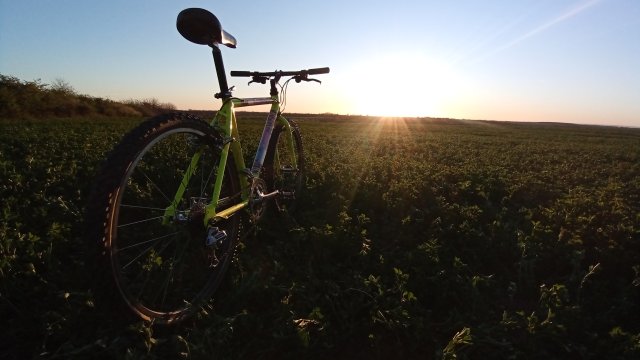 MTB '26 #756