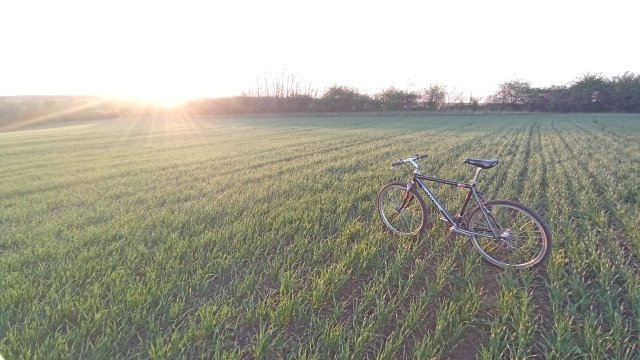 MTB '26 #948