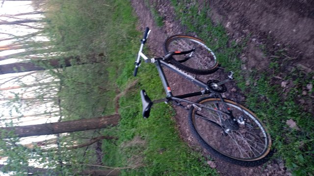 MTB '26 #951
