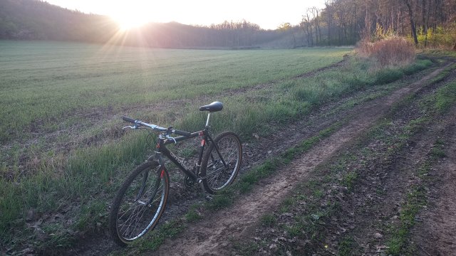 MTB '26 #953