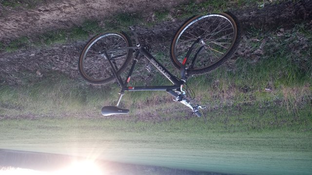 MTB '26 #954