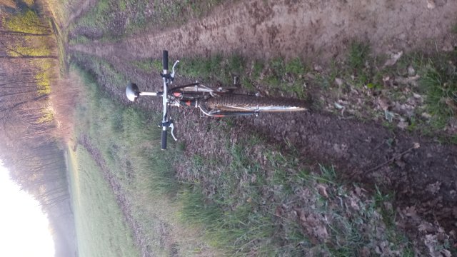 MTB '26 #955
