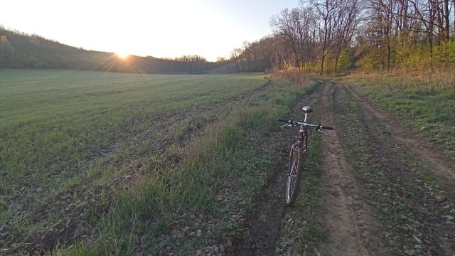 MTB '26 #956