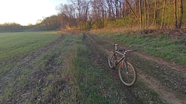 MTB '26 #957