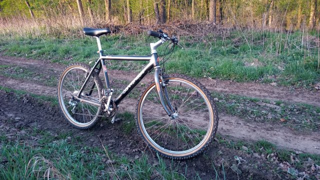 MTB '26 #959