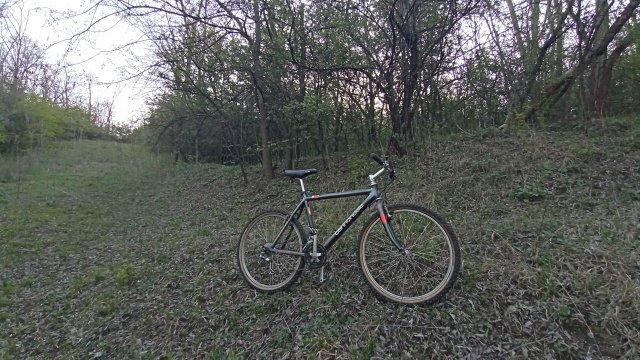 MTB '26 #965