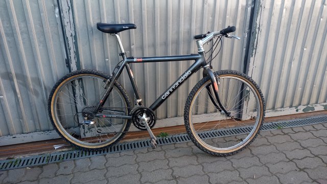 MTB '26 #967
