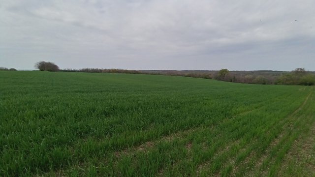 MTB '26 #970