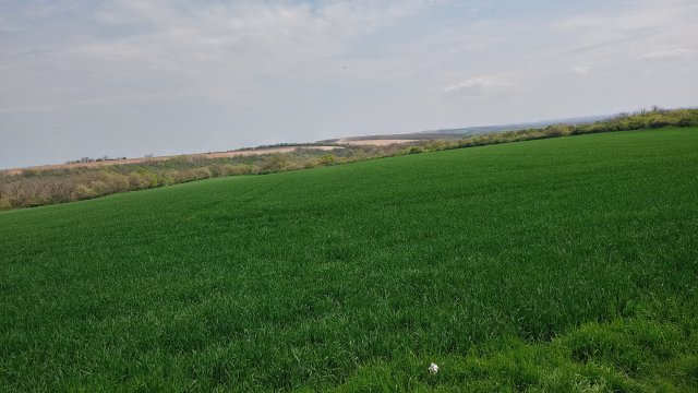 MTB '26 #974