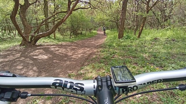 MTB '26 #976