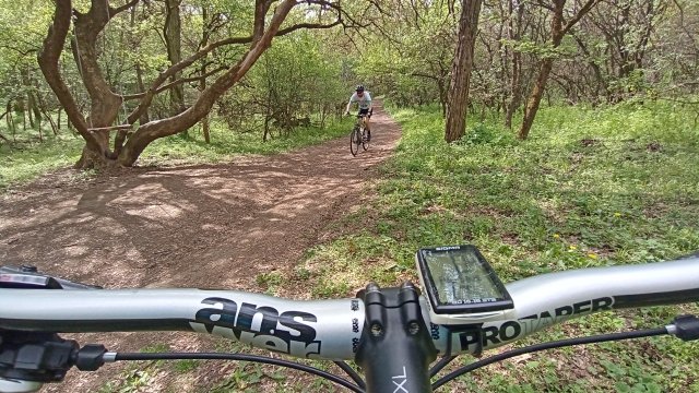 MTB '26 #977