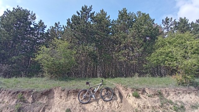 MTB '26 #979