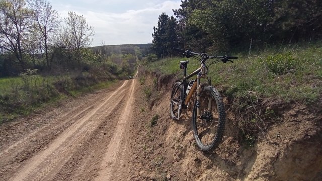 MTB '26 #980