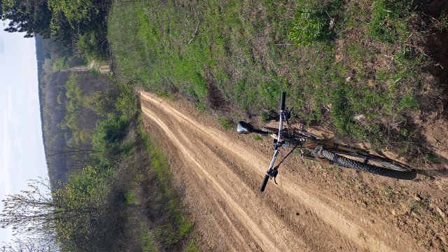 MTB '26 #987