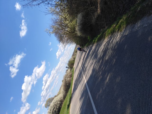 Road '26 #317