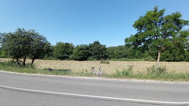 Road '26 #375