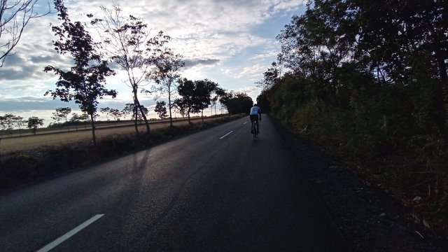 Road '26 #481