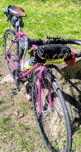 Dawes Street Life #1