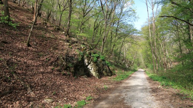 Túrafotók 2026 #22