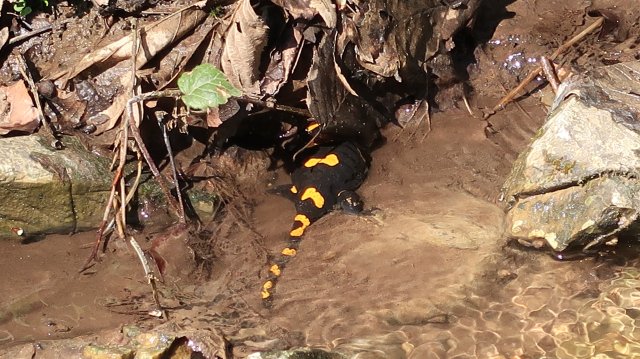 Túrafotók 2026 #23