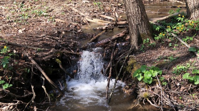 Túrafotók 2026 #24