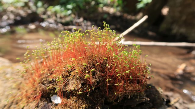 Túrafotók 2026 #29