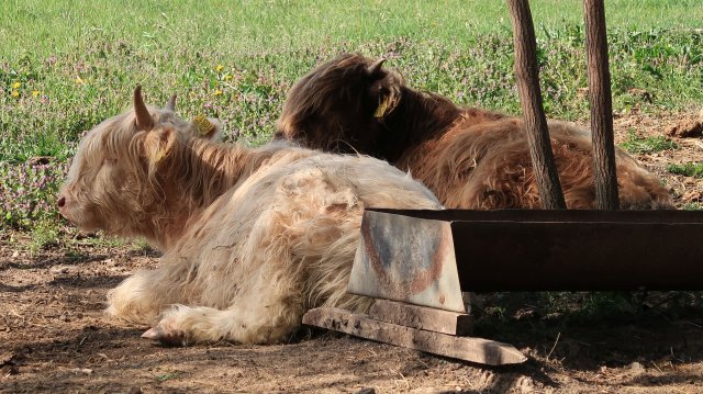 Túrafotók 2026 #34