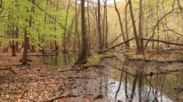 Túrafotók 2026 #37