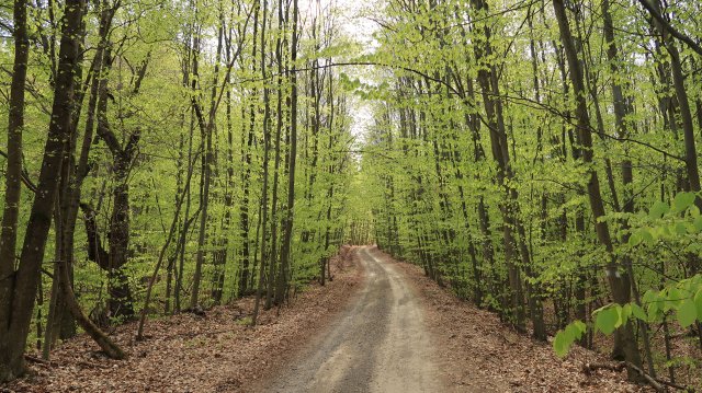 Túrafotók 2026 #39