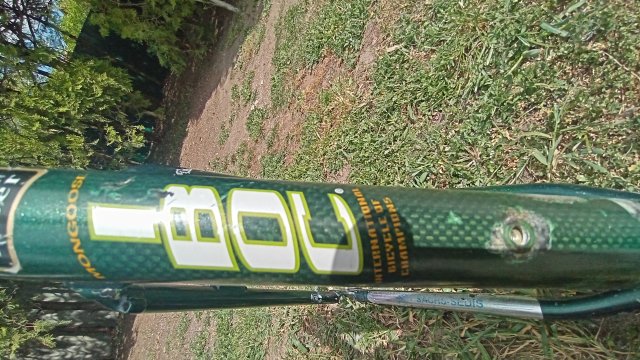 Mongoose I.B.O.C. Team SX '94 #19