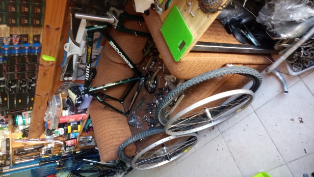 Mongoose I.B.O.C. Team SX '94 #38