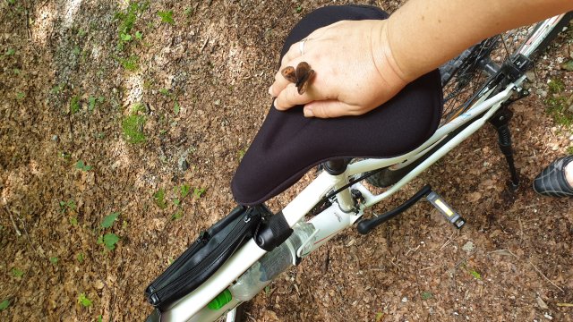 Tiroli kiruccanás #5