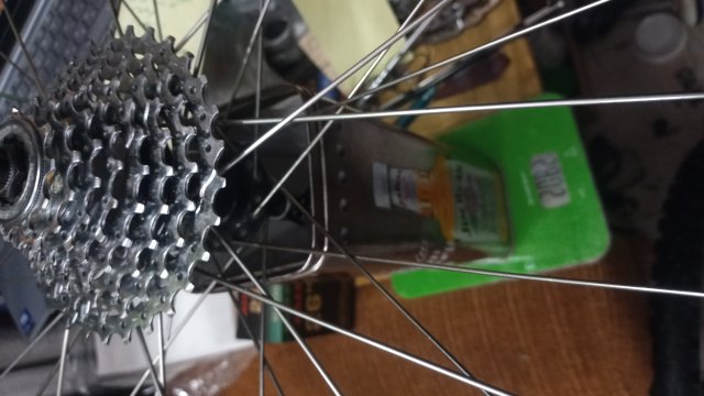 Klein Attitude Comp '98 #88