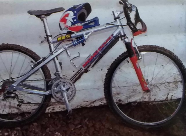 Mongoose Amplifier 2 Team '96 #22