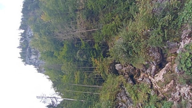 Mariazell '26 #117