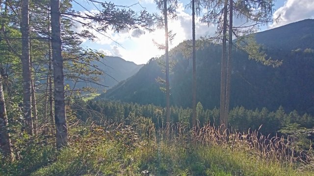 Mariazell '26 #151