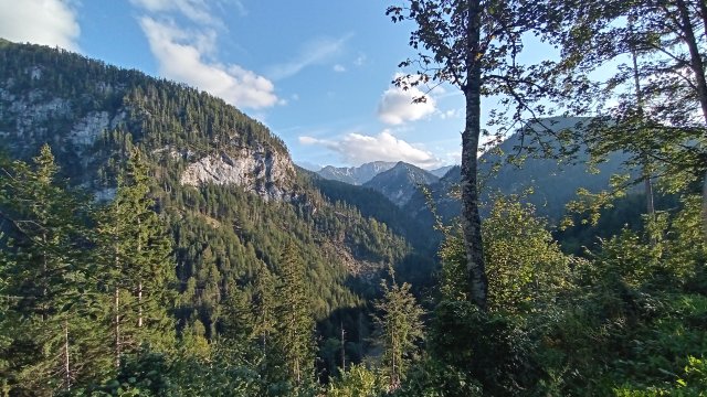 Mariazell '26 #155