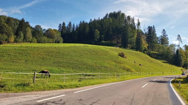 Mariazell '26 #184